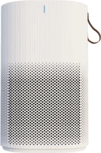Eureka Air Purifier | Powerful Air Cleaner