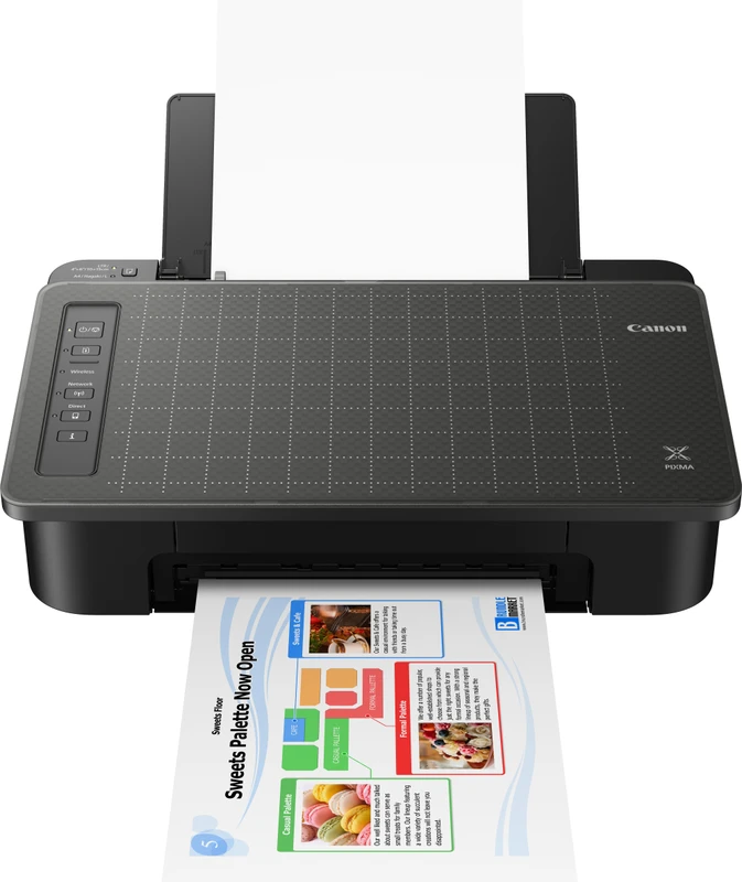 Canon PIXMA TS307 β Wireless Inkjet Printer for Smart Home Printing