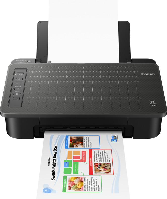 Canon PIXMA TS307 WiFi Inkjet Printer