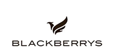 Blackberrys logo