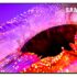 Xiaomi 138 cm (55 inch) FX Pro QLED Ultra HD 4K Smart Fire TV at ₹37999 — 40% Off