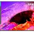 Samsung 55 inches Mini LED 4K Samsung Vision AI Smart TV UA55M2EHAULXL at ₹46990 — 22% Off